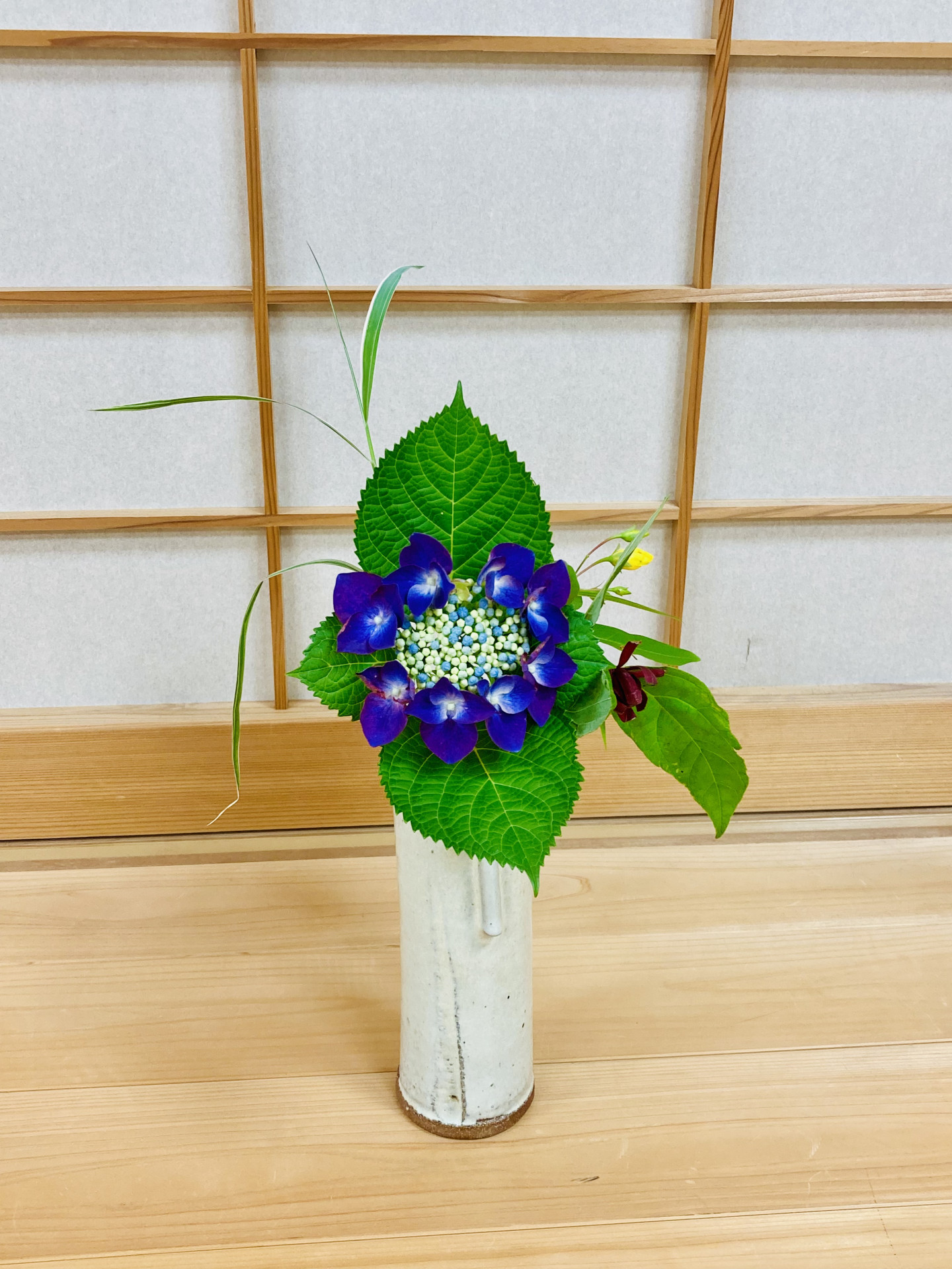 画像 -20260529-073917-77fa0ae6